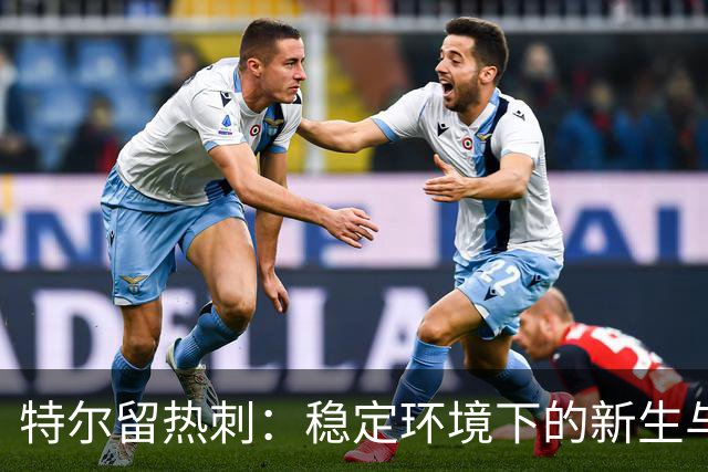 特尔留热刺：稳定环境下的新生与成长