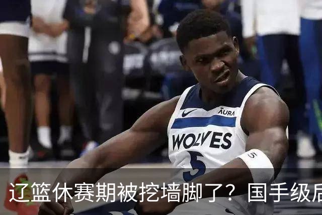 辽篮休赛期被挖墙脚了？国手级后卫恐被交易：变相逼着赵继伟走人