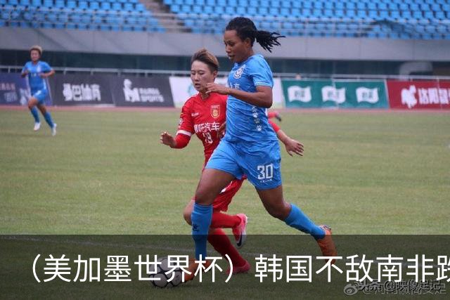 （美加墨世界杯）韩国不敌南非跌至小组第三 出线前景待定